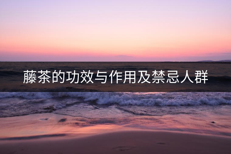 藤茶的功效與作用及禁忌人群