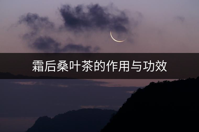 霜后桑葉茶的作用與功效