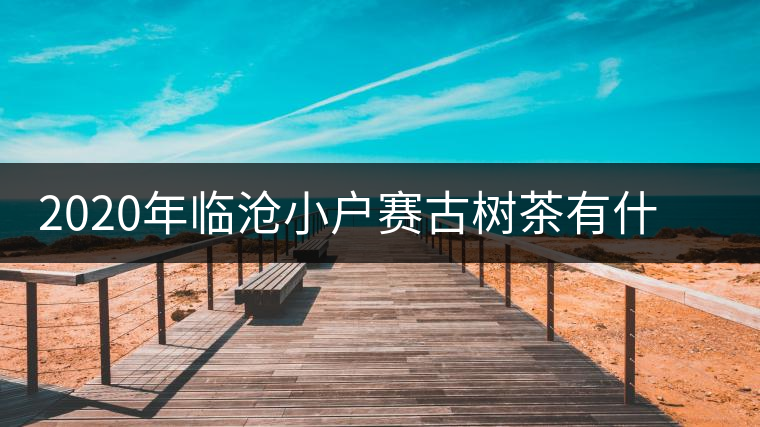 2020年臨滄小戶賽古樹茶有什么特點？因何被稱為“賽冰島”？-易武中聘號
