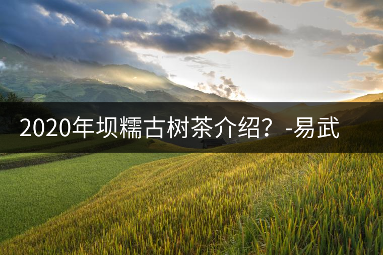 2020年壩糯古樹茶介紹？-易武中聘號(hào)