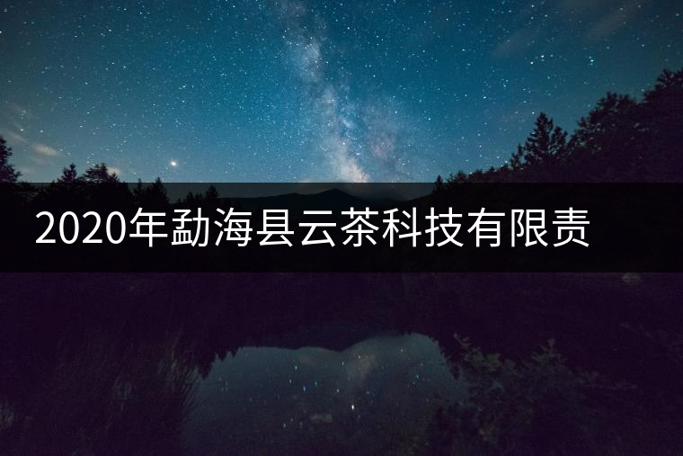 2020年勐海縣云茶科技有限責任公司簡介