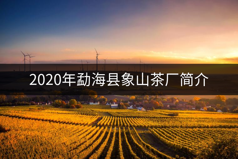 2020年勐?？h象山茶廠簡介