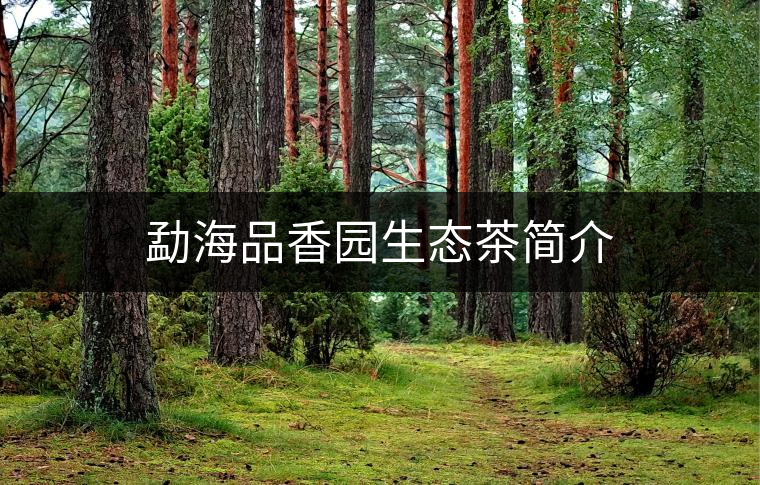 勐海品香園生態(tài)茶簡(jiǎn)介