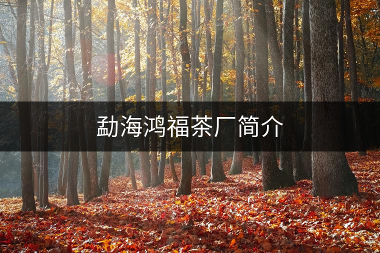 勐海鴻福茶廠簡介 勐海鴻福茶廠簡介