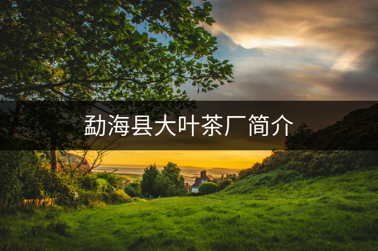 勐海縣大葉茶廠簡介