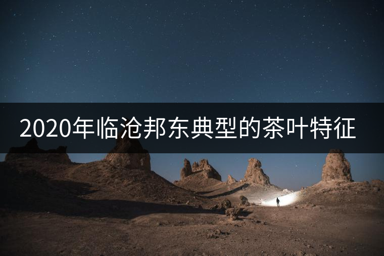 2020年臨滄邦東典型的茶葉特征-易武中聘號(hào)