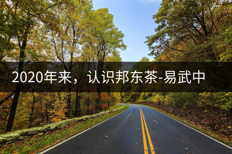 2020年來，認(rèn)識邦東茶-易武中聘號
