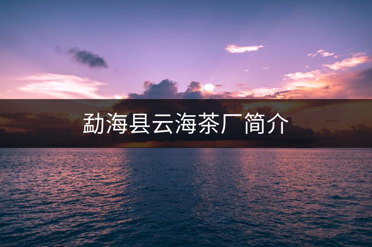 勐?？h云海茶廠簡介