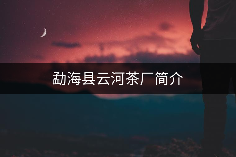勐?？h云河茶廠簡介