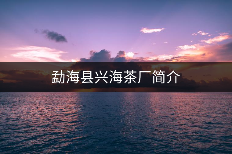 勐?？h興海茶廠簡介