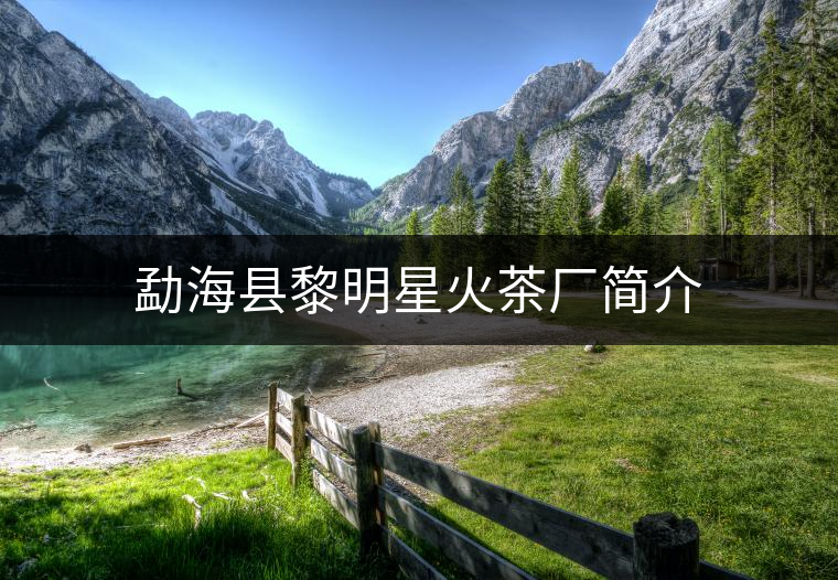 勐海縣黎明星火茶廠簡(jiǎn)介