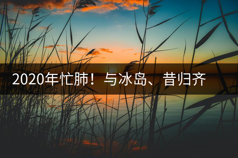 2020年忙肺！與冰島、昔歸齊名的普洱茶，到底是什么味道？-易武中聘號(hào)