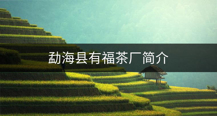 勐??h有福茶廠簡介 勐海縣有福茶廠簡介
