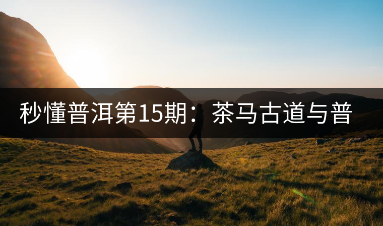 秒懂普洱第15期：茶馬古道與普洱茶有什么聯(lián)系？