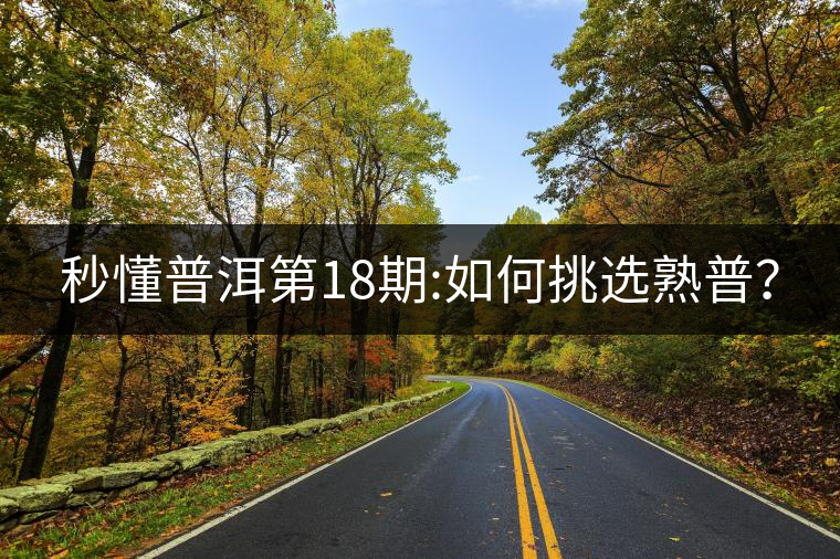 秒懂普洱第18期:如何挑選熟普？