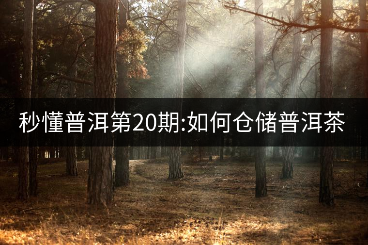 秒懂普洱第20期:如何倉儲(chǔ)普洱茶？
