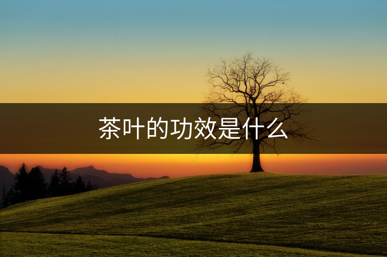 茶葉的功效是什么
