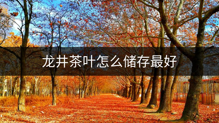 龍井茶葉怎么儲存最好