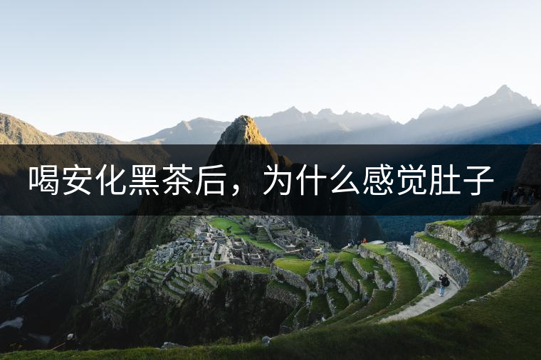 喝安化黑茶后，為什么感覺肚子餓的快？
