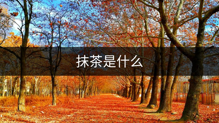 抹茶是什么