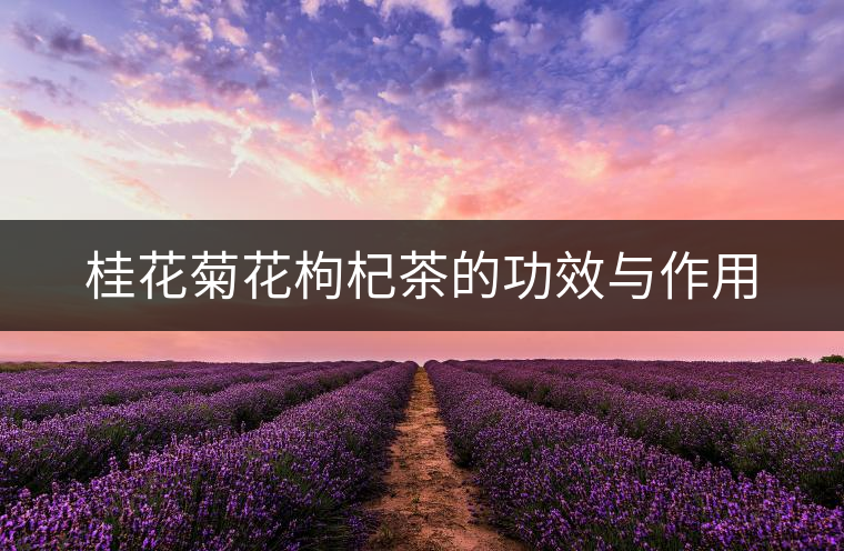 桂花菊花枸杞茶的功效與作用