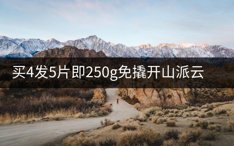 買4發(fā)5片即250g免撬開(kāi)山派云南純料老熟普茶葉黑茶 普洱茶熟茶磚 買4發(fā)5片即250g免撬開(kāi)山派云南純料老熟普茶葉黑茶 普洱茶熟茶磚