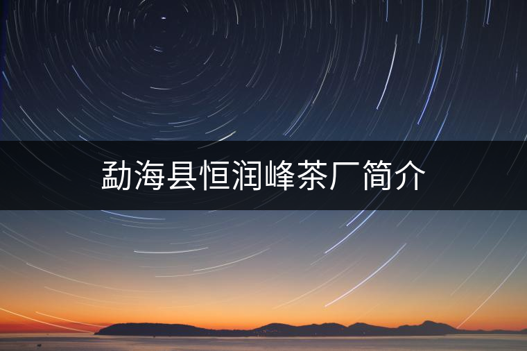 勐?？h恒潤峰茶廠簡介