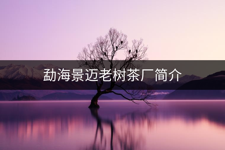 勐海景邁老樹茶廠簡(jiǎn)介
