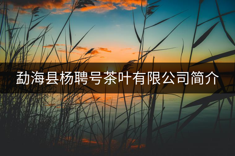 勐?？h楊聘號茶葉有限公司簡介