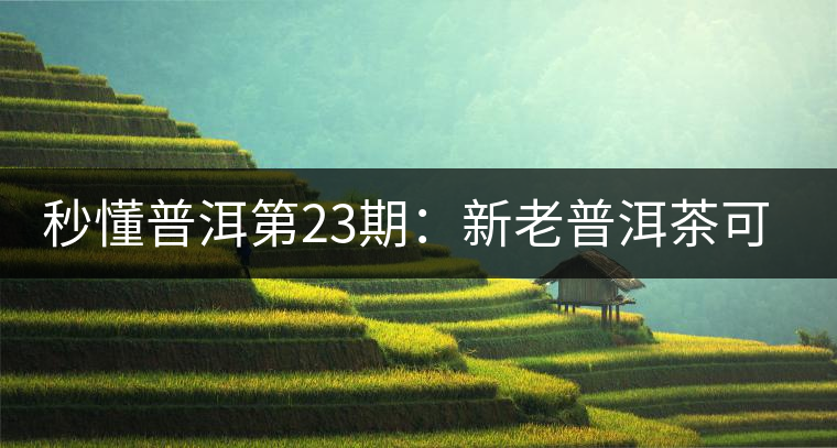 秒懂普洱第23期：新老普洱茶可以放到一起嗎？
