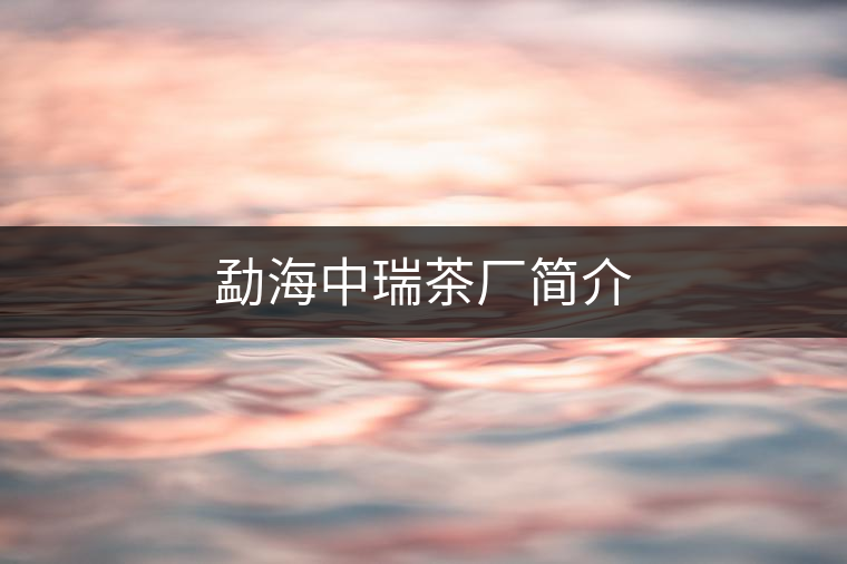 勐海中瑞茶廠簡介