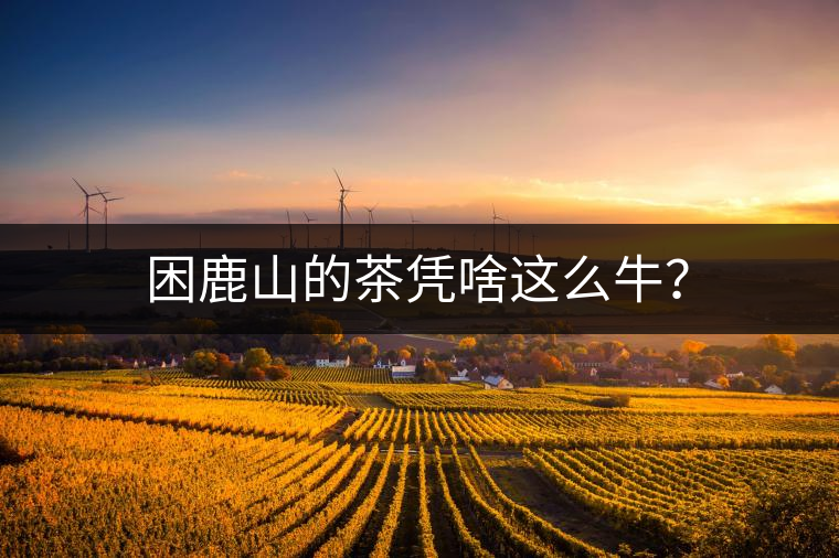 困鹿山的茶憑啥這么牛？