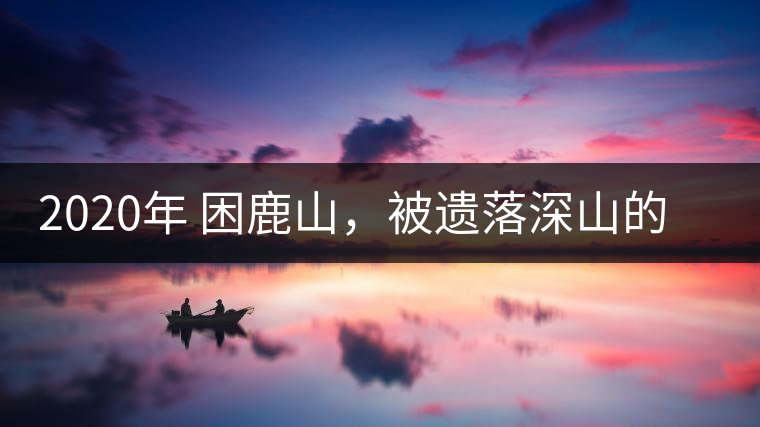 2020年 困鹿山，被遺落深山的皇家古茶園-易武中聘號