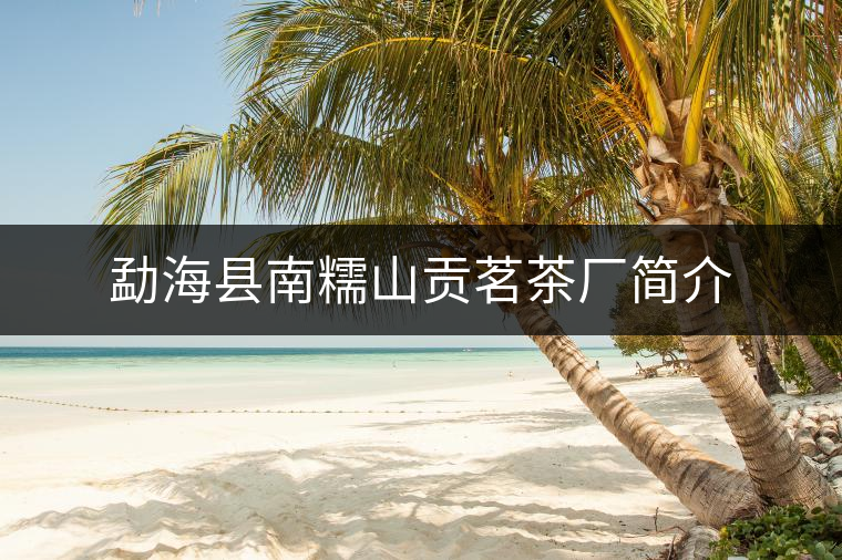 勐?？h南糯山貢茗茶廠簡介