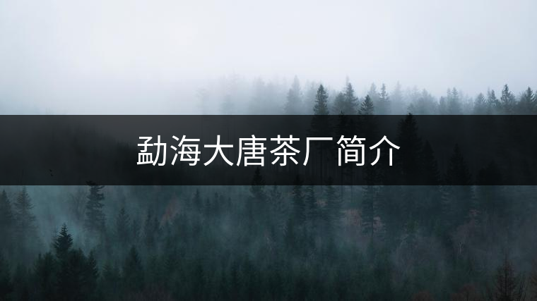 勐海大唐茶廠簡(jiǎn)介 勐海大唐茶廠簡(jiǎn)介