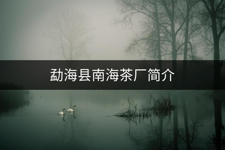 勐?？h南海茶廠簡介