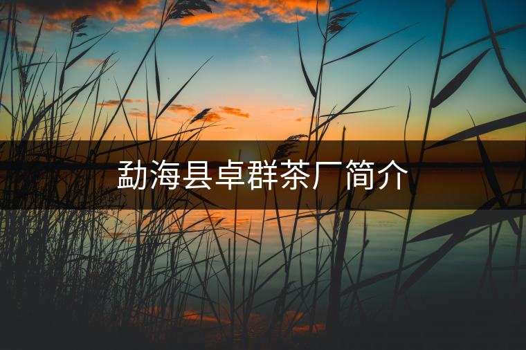 勐海縣卓群茶廠簡介 勐??h卓群茶廠簡介
