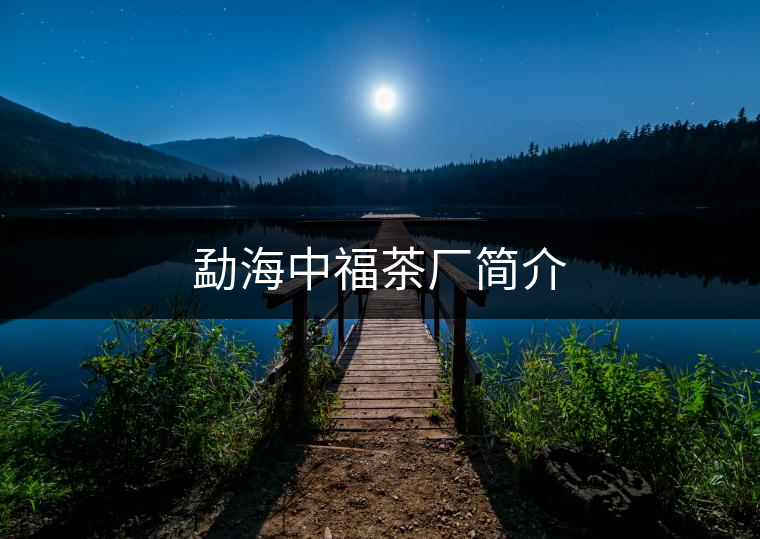 勐海中福茶廠簡(jiǎn)介
