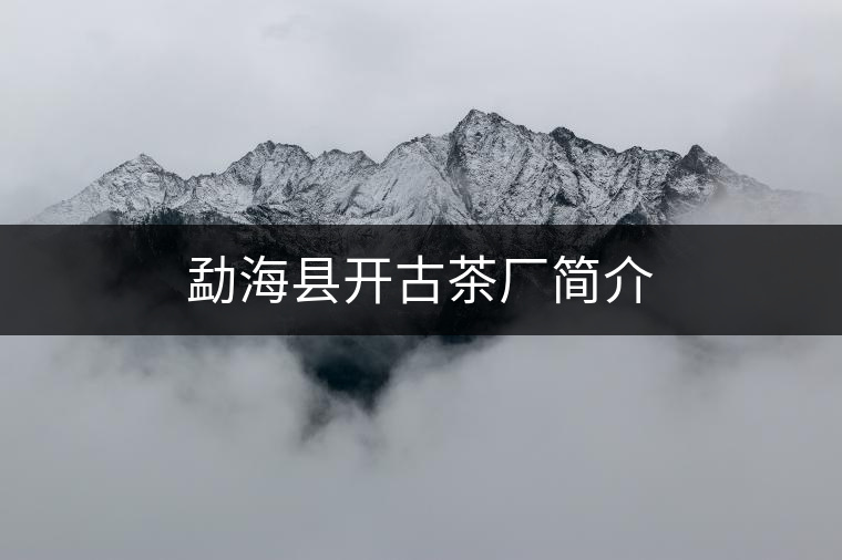 勐?？h開(kāi)古茶廠簡(jiǎn)介