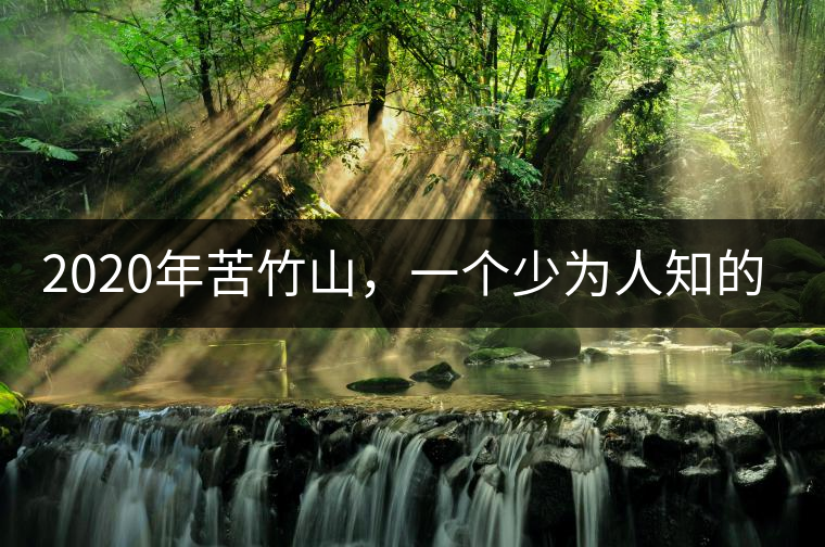 2020年苦竹山，一個(gè)少為人知的后起之秀！-易武中聘號(hào)