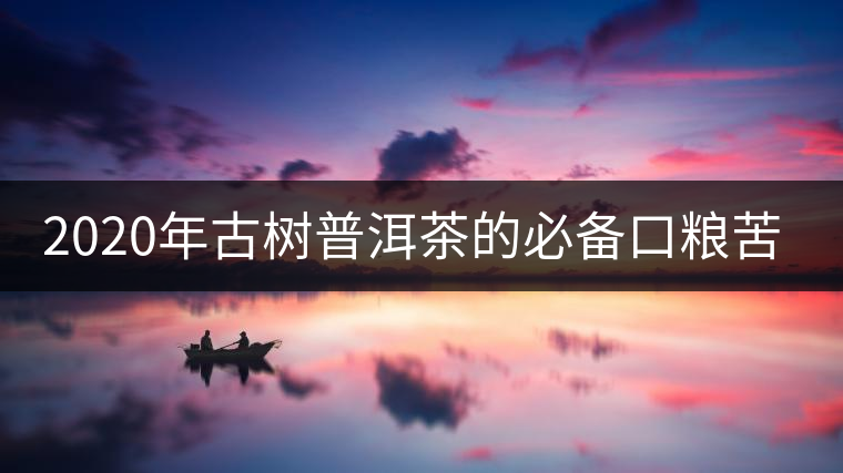 2020年古樹普洱茶的必備口糧苦竹山-易武中聘號