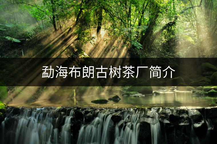勐海布朗古樹(shù)茶廠簡(jiǎn)介 勐海布朗古樹(shù)茶廠簡(jiǎn)介