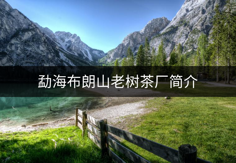 勐海布朗山老樹茶廠簡介