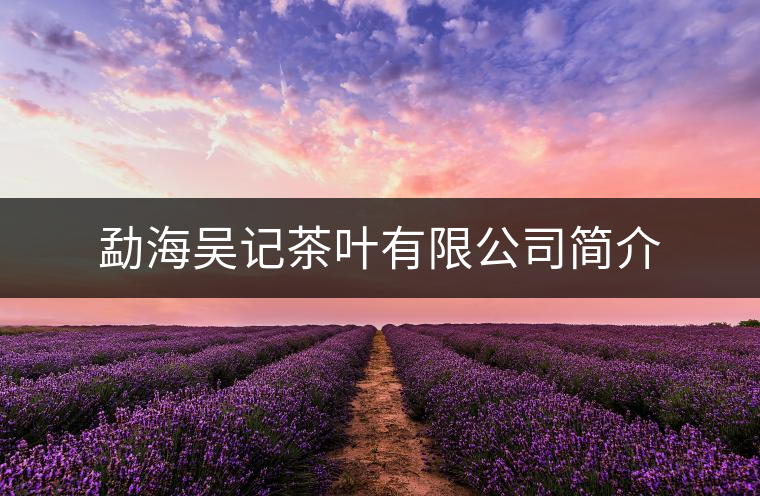 勐海吳記茶葉有限公司簡介