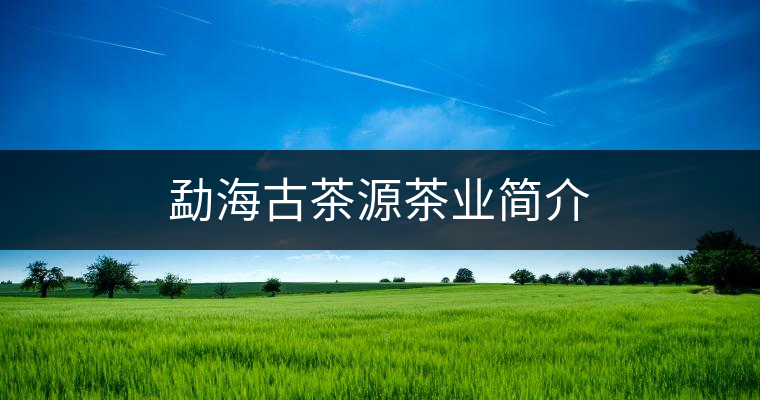勐海古茶源茶業(yè)簡介 勐海古茶源茶業(yè)簡介