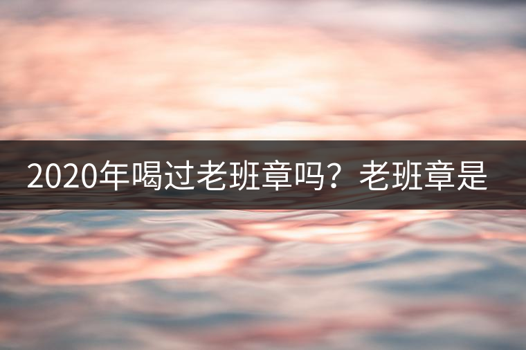 2020年喝過老班章嗎？老班章是什么味道？-易武中聘號