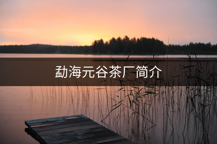 勐海元谷茶廠簡介 勐海元谷茶廠簡介