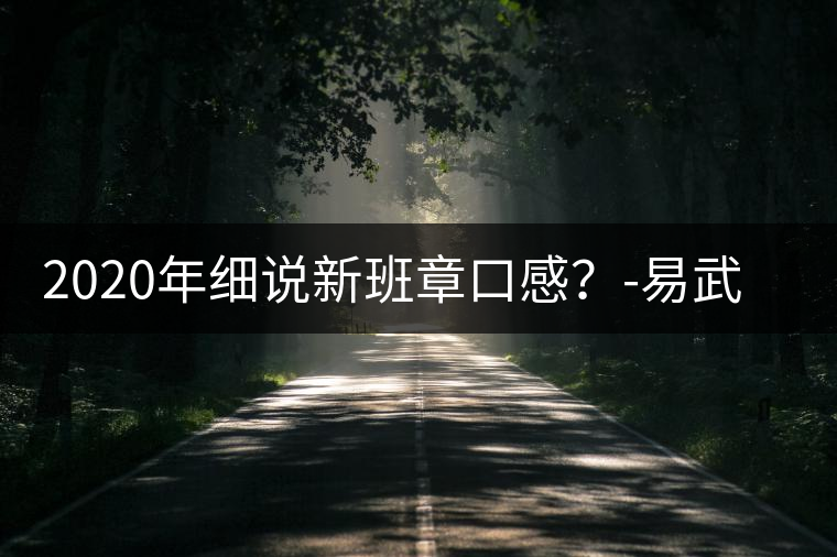 2020年細(xì)說新班章口感？-易武中聘號