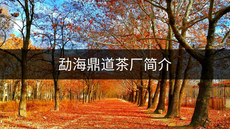 勐海鼎道茶廠簡介