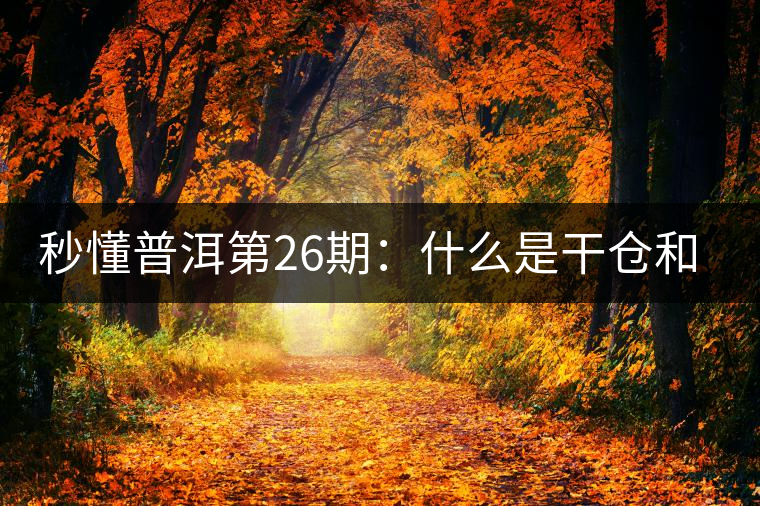 秒懂普洱第26期：什么是干倉(cāng)和濕倉(cāng)？
